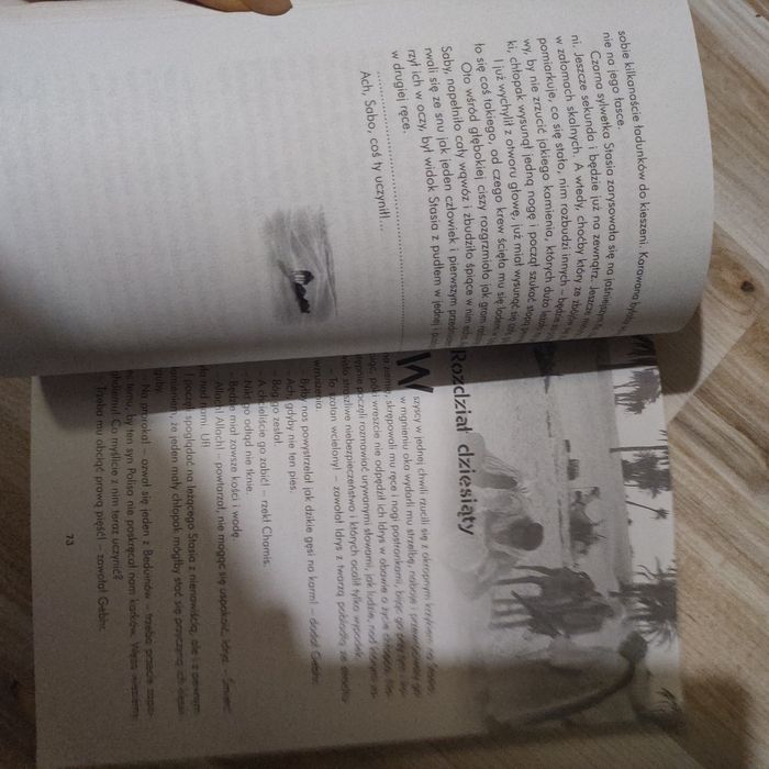 W pustyni i w puszczy Henryk Sienkiewicz