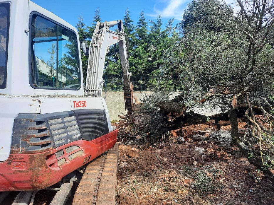 Limpeza de terrenos/Construção/Escavações