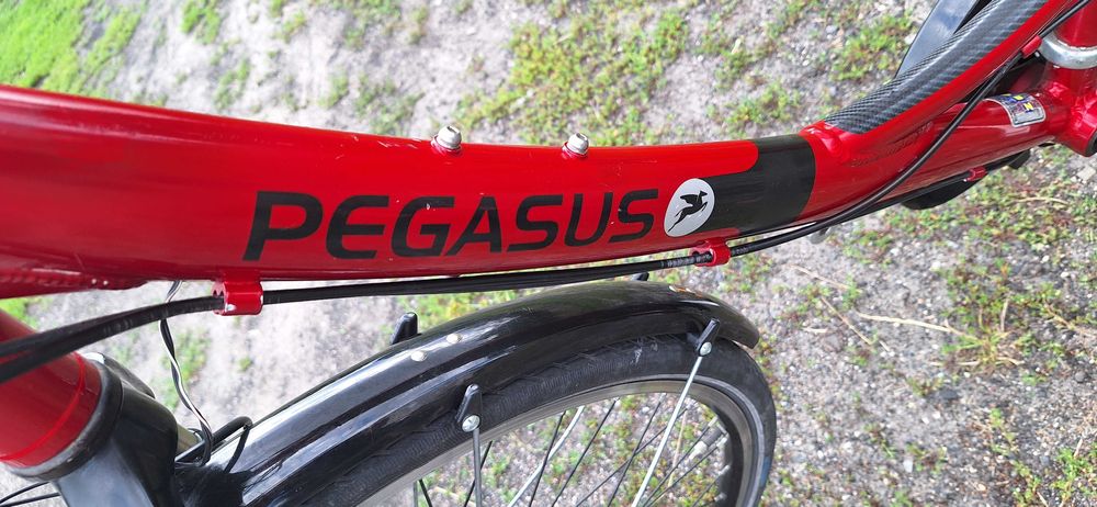 Rower trekkingowy PEGASUS SOLERO