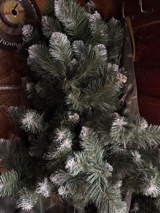 Продам ядинку засніжену  180 см