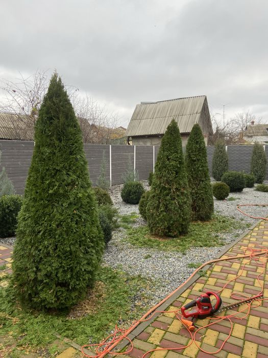 Стрижка плодовых,и декоративных растений