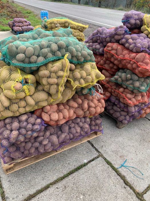 Оренда складу. Оренда торгового або складського приміщення. Буштино.