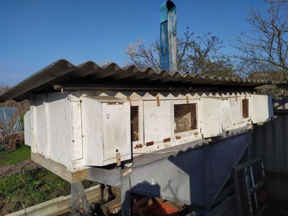 Клетки для кроликов-акселератов по методу Михайлова