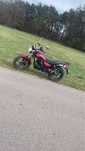 Barton classic 125