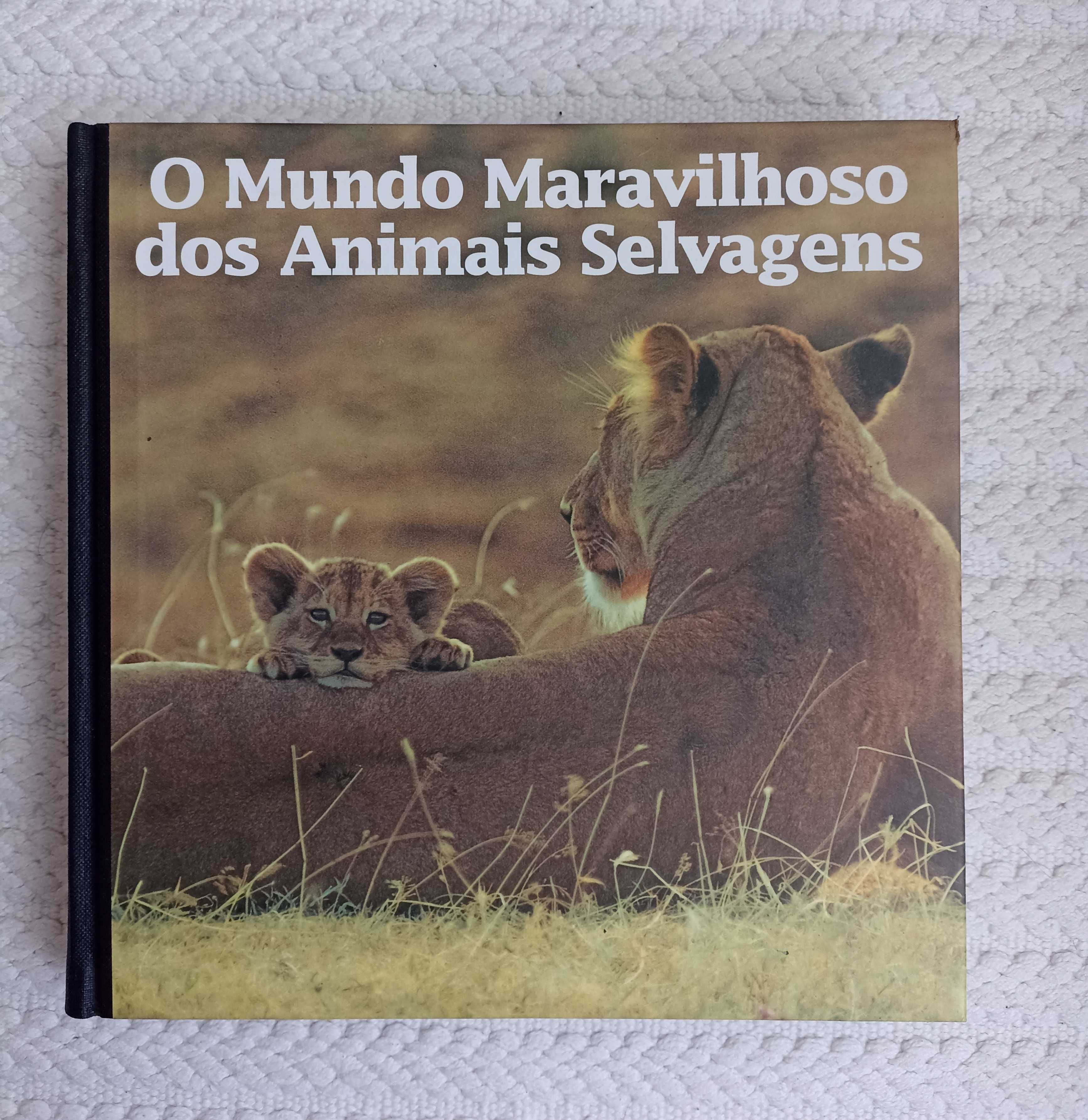 Livros/enciclopédias (vida selvagem, humana, histórias do Mundo,etc..)