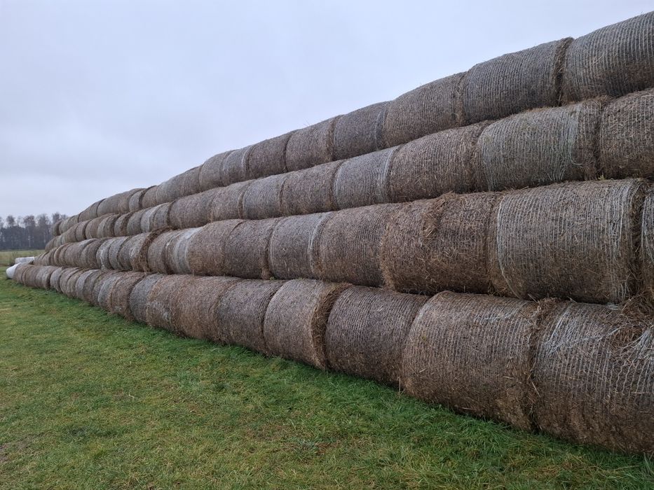 Sprzedam słomę , siano, sianokiszonke i zboże zyto