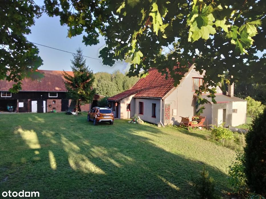 Siedlisko - warmińsko-mazurskie, blisko Olsztyna