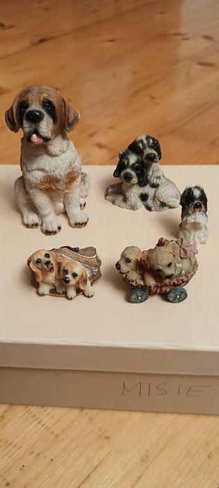 Kolekcja piesków .