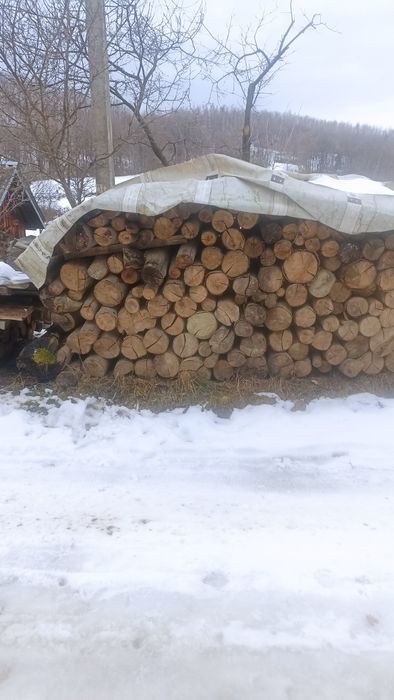 Дрова бук сухі і сирі під камін, котел, печі, дрібний і грубий покол