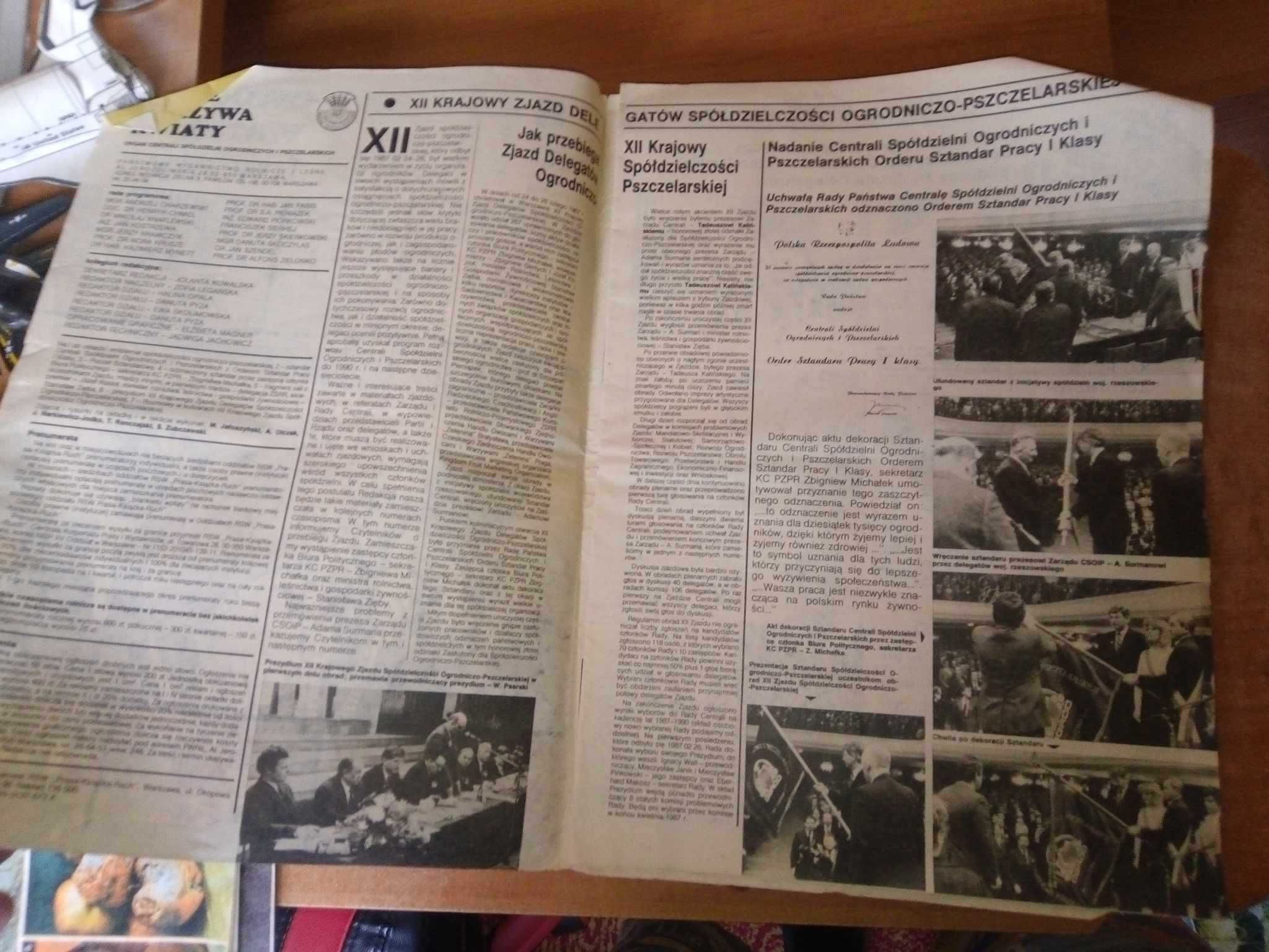 Owoce warzywa kwiaty dwutygodnik 8 1987 ogrodniczy gazeta czasopismo