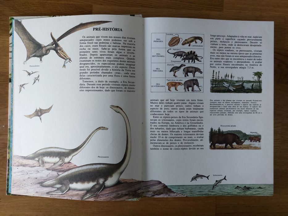 Livro Animais e Plantas de todo o Mundo