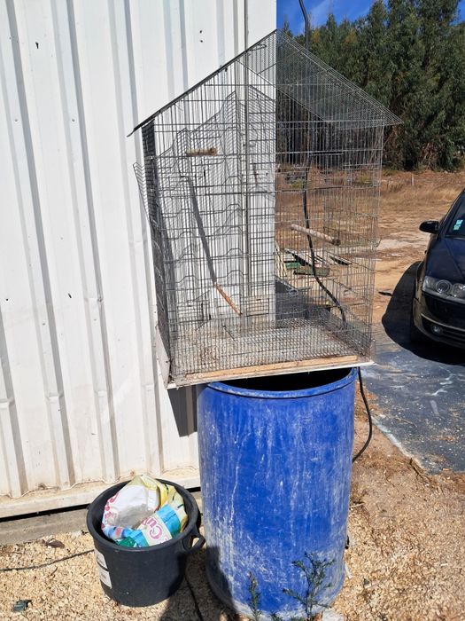 Gaiolas pra ceder ao trocar por aves