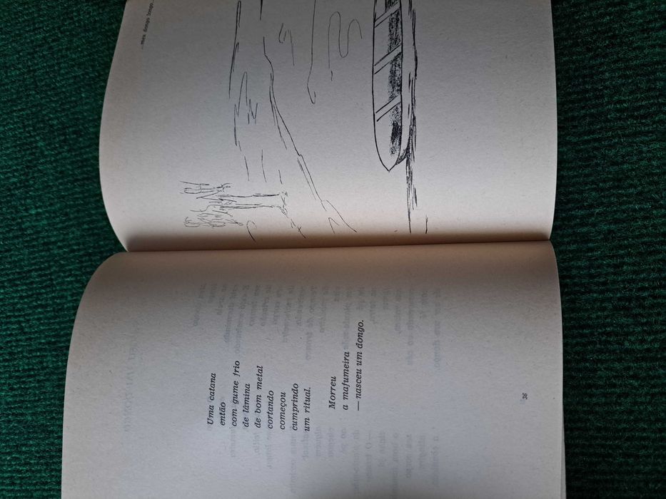 Angola Quotidiano I - João de Azevedo e Silva