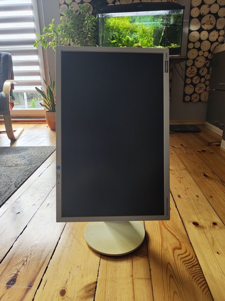 NEC MultiSync EA223WM monitor 22"