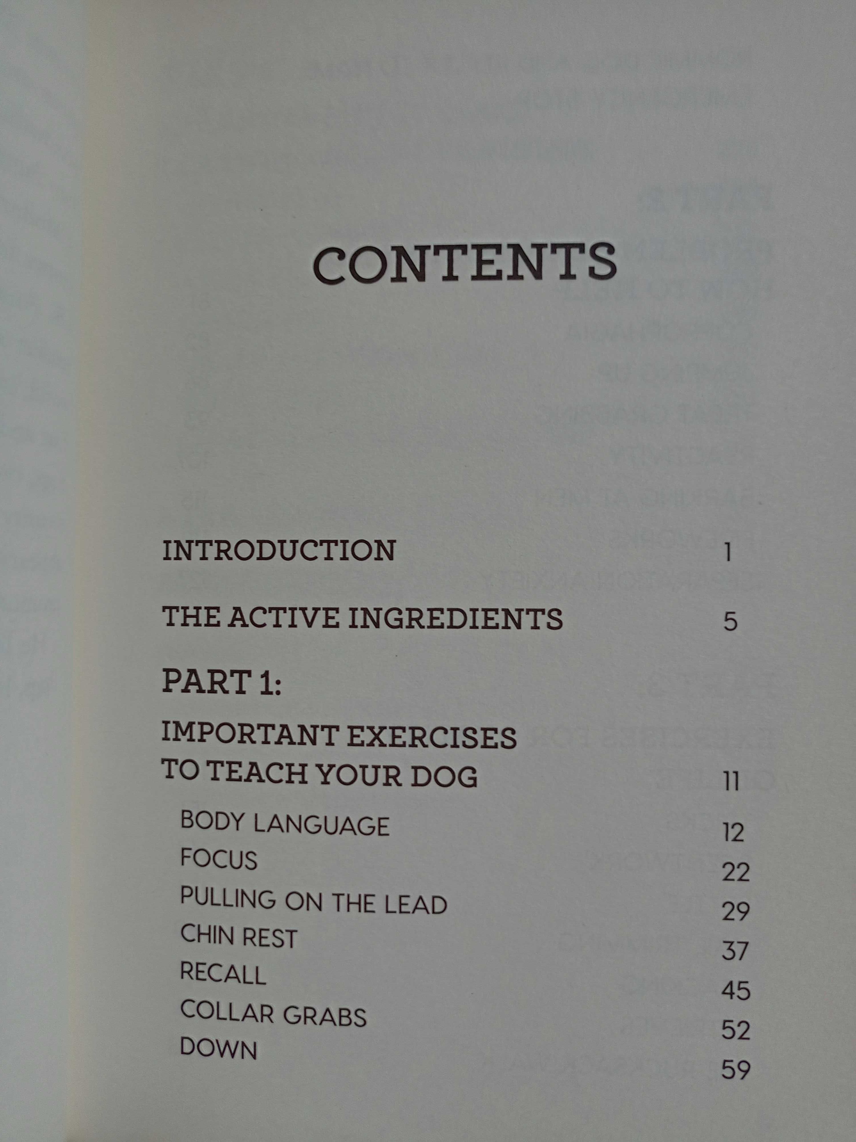 книга /серия книг на английском про собак Training a happy puppy