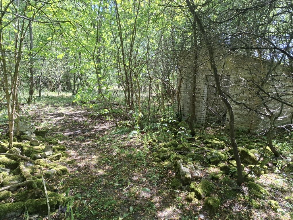Udział w gruncie 1/2 działka Karnice Puszcza Mariańska 4800 m2