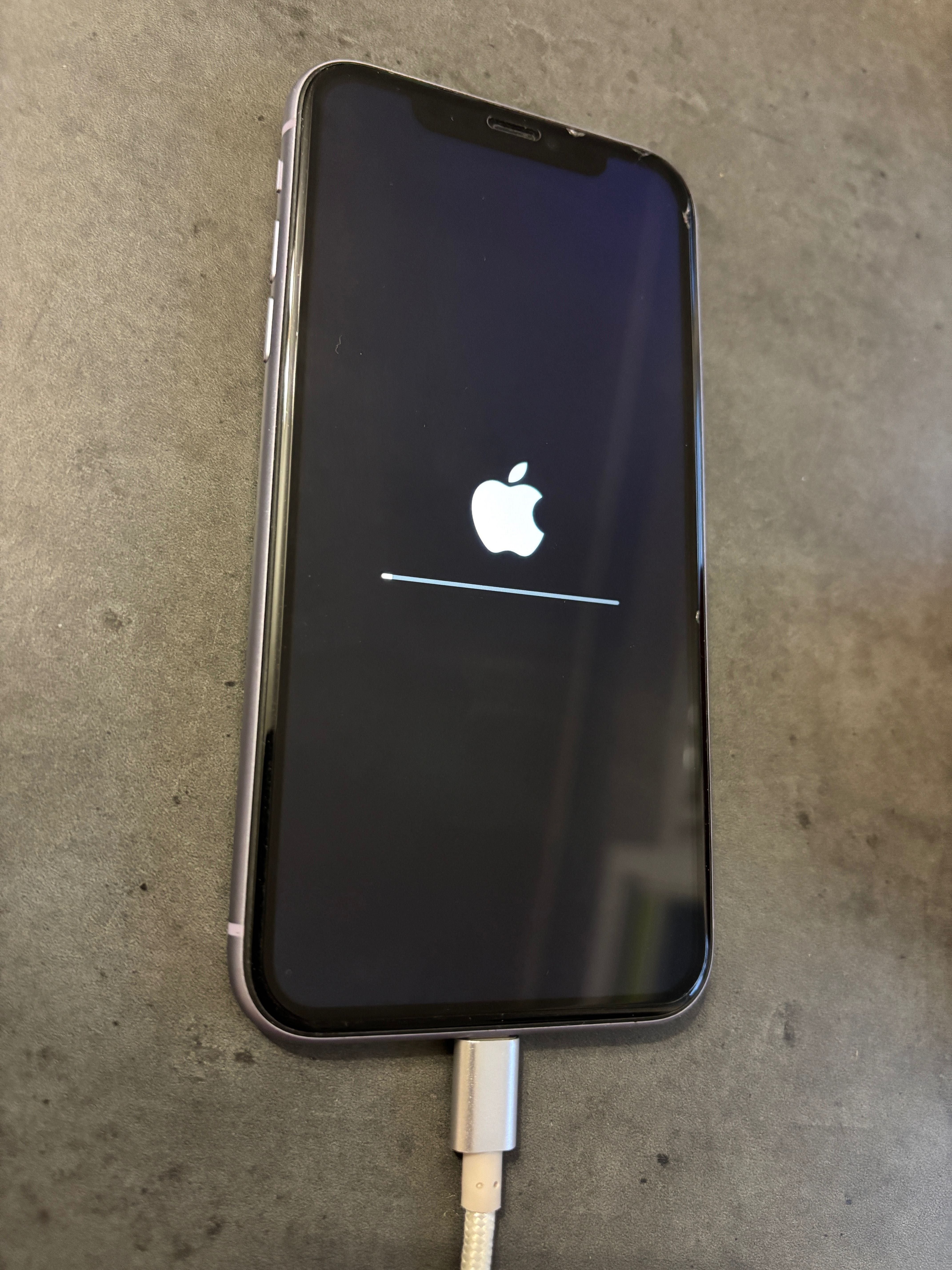 iPhone 11 fioletowy