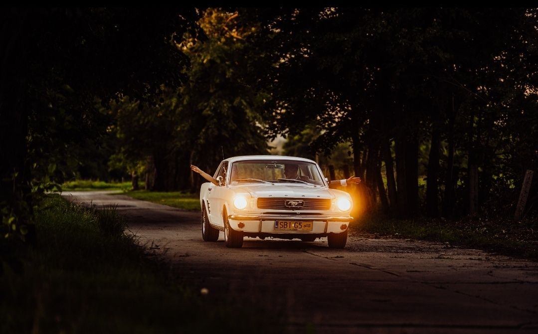 Ford Mustang 1966 V8 do ślubu możliwość samodzielnego prowadzenia !