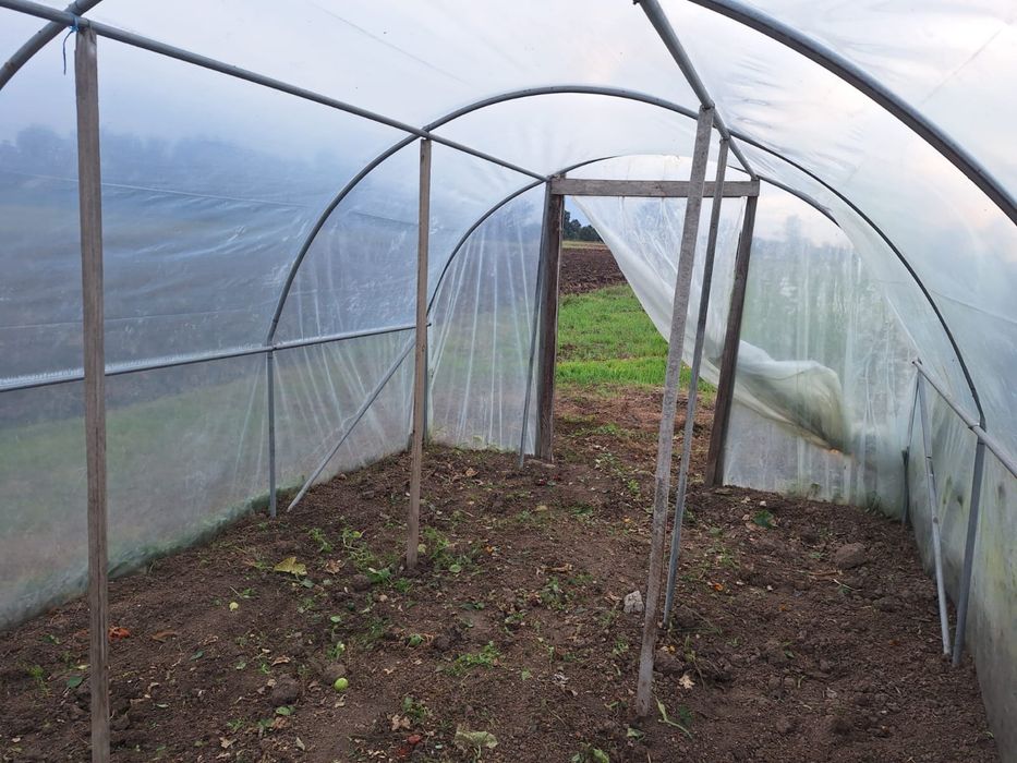 Folia  szklarnia 4.5 x 2.9 m