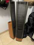 Głośniki Martin Logan Clarity