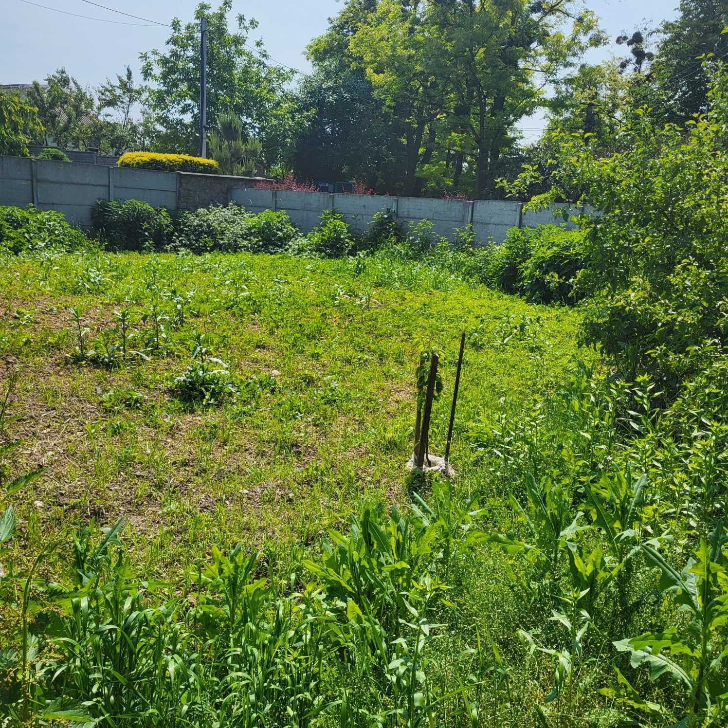 Мархалівка, Іванковичі. Оренда будинку.