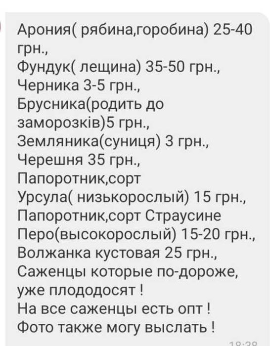 Волжанка (Астильба)Лапчатка(Калган,Перстач)