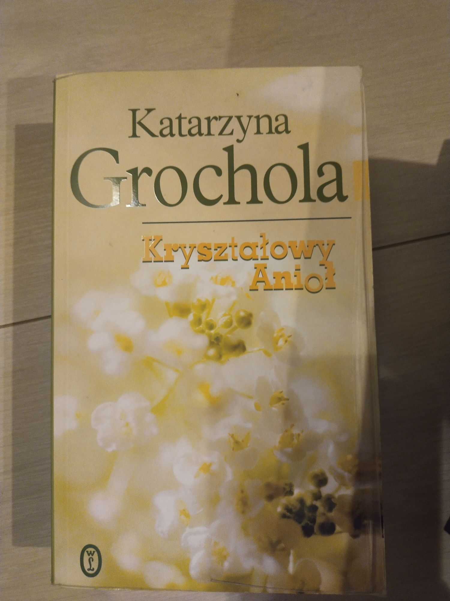 Kryształowy aniol Katarzyna Grochola