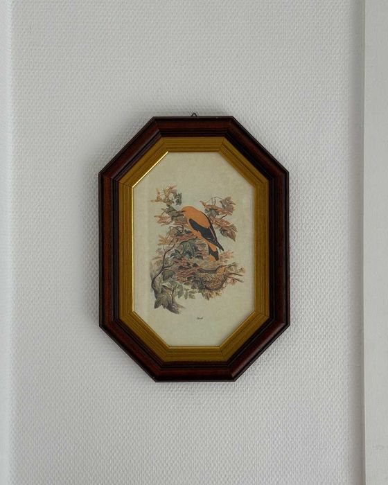 Vintage grafika Oriole w ozdobnej ośmiokątnej ramce Ptaki