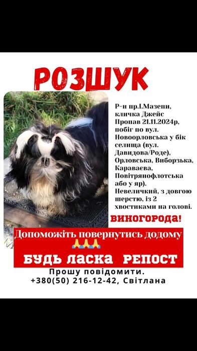 Загубився ши тцу хлопчик