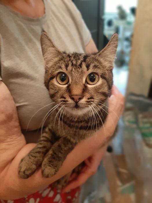 Хлопчик шукає родину!