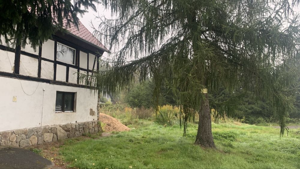 Połowa domu plus działka