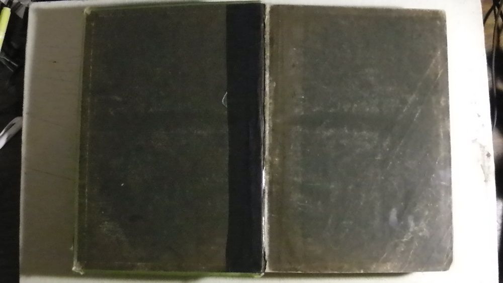 Комнатное садоводство М. Гесдёрфера. 1904 г.