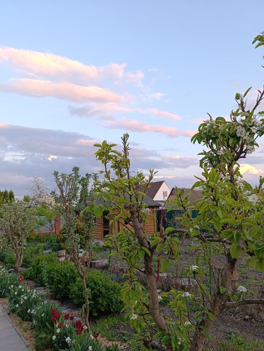 Продається дім 2поверхи,мОхтирка