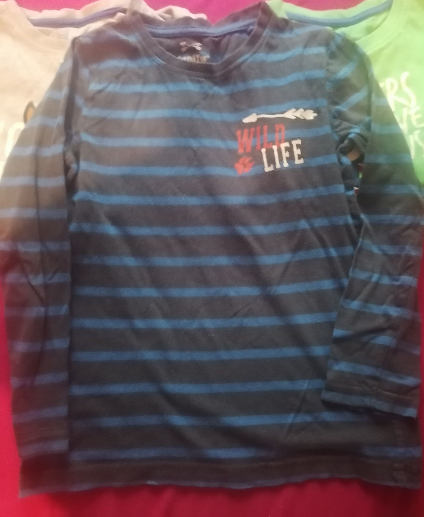T shirty z długim rękawem 110/116