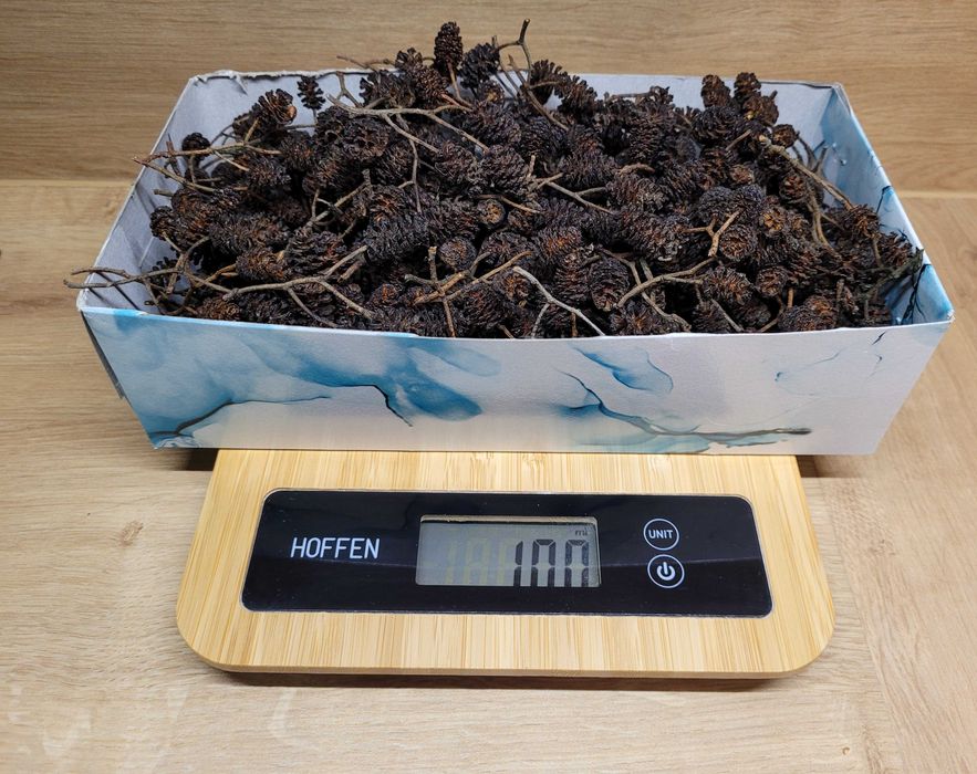 szyszki olcha czarna antyglon 100g (ok 500 szt.) liście do akwarium