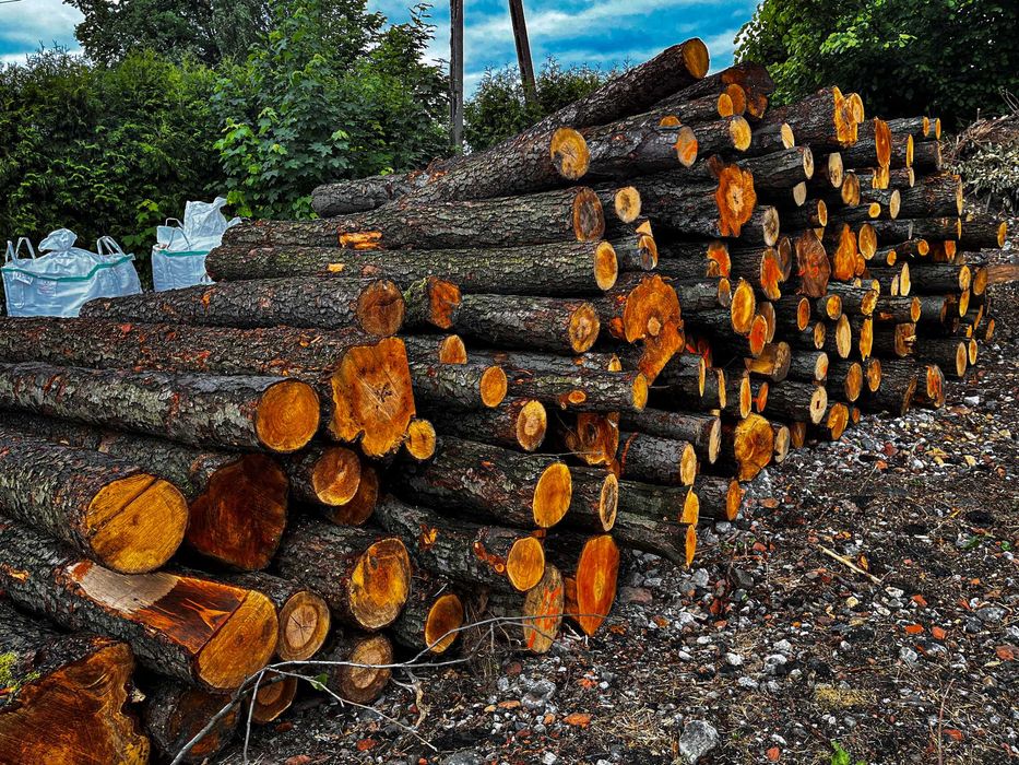 Drewno kominkowe opałowe DĄB BUK BRZOZA SOSNA OLCHA Transport GRATIS