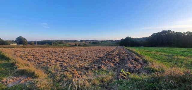 Działka budowlana Nałeczów