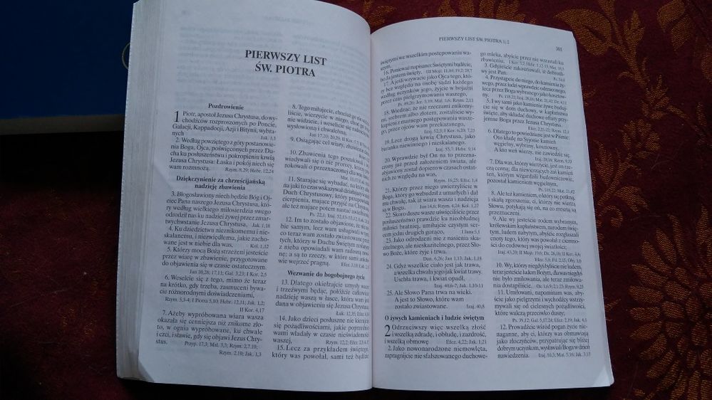 Pismo Święte Nowy Testament i Psalmy wydanie Towarzystwo Biblijne w Po