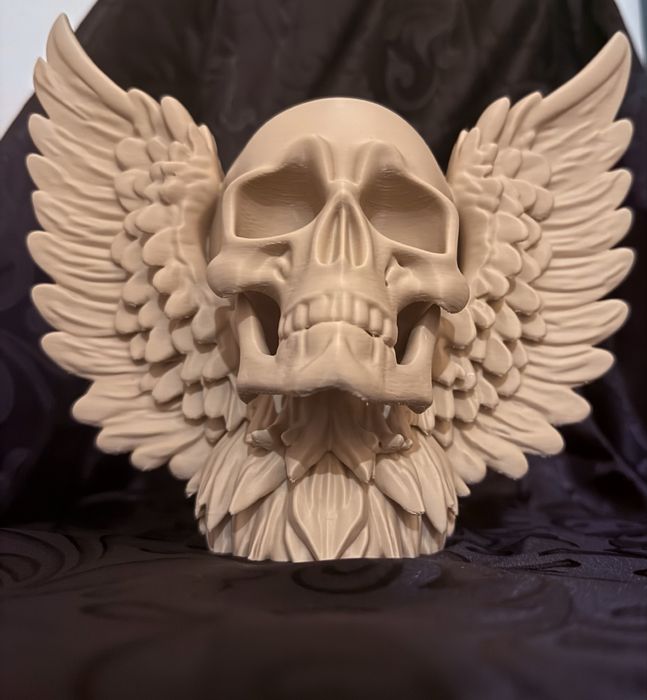 Caveira com asas/ Skull