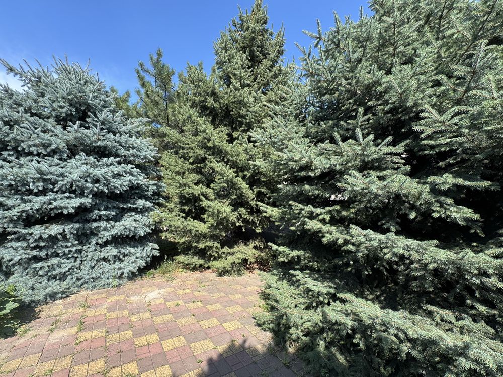 Продам будинок 155м2 Самар