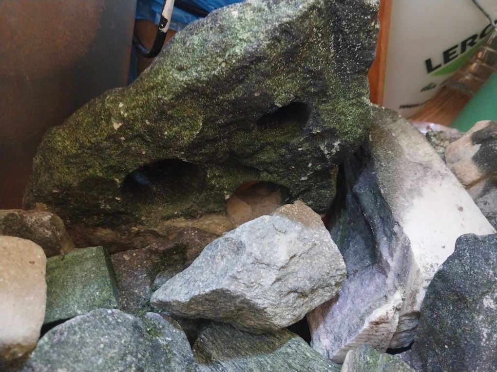 Skały do Akwarium, piaskowce, dragon Stone, lawa, wapienie, inne.