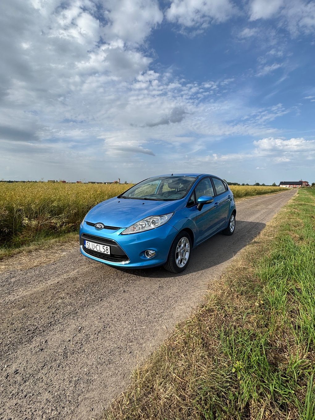 Ford Fiesta Ford Fiesta 1,25 2010r.