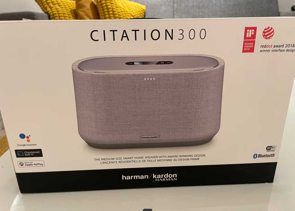 Колонка Harman/Kardon Citatione 300 Winter Grey (HKCITATION300GRYEU)