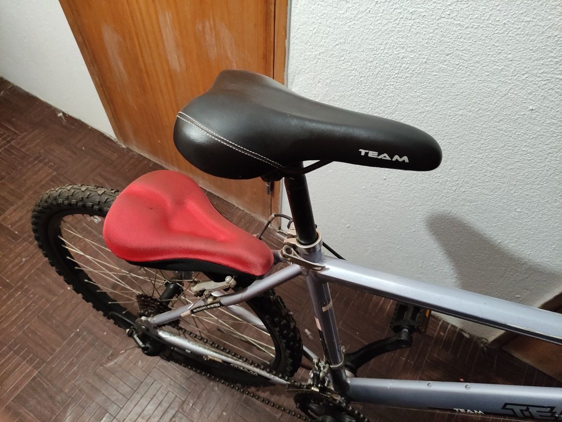 Bicicleta Team, para peças + extras / peças.