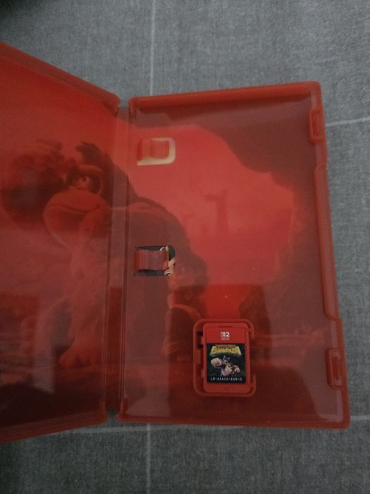 Donkey kong bonanza switch2