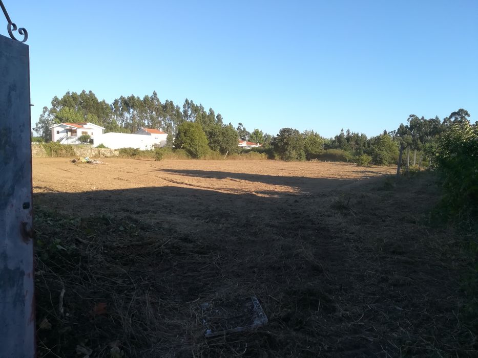 Prestação de Serviços agrícolas/florestais