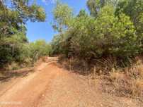 Lote de terreno rústico na Fonte da Benémola, Loulé, Algarve