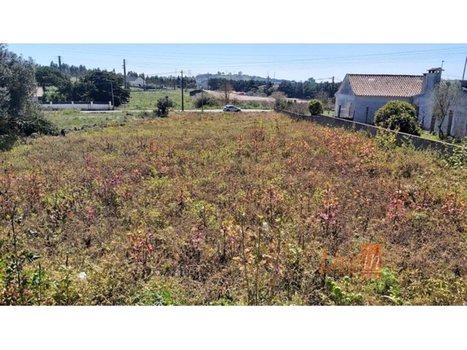 Terreno com 1595m2 em Lousa