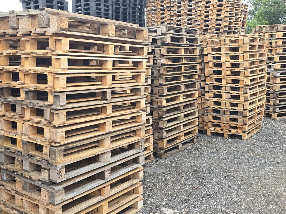 Palety 1200x800, palety jednorazowe