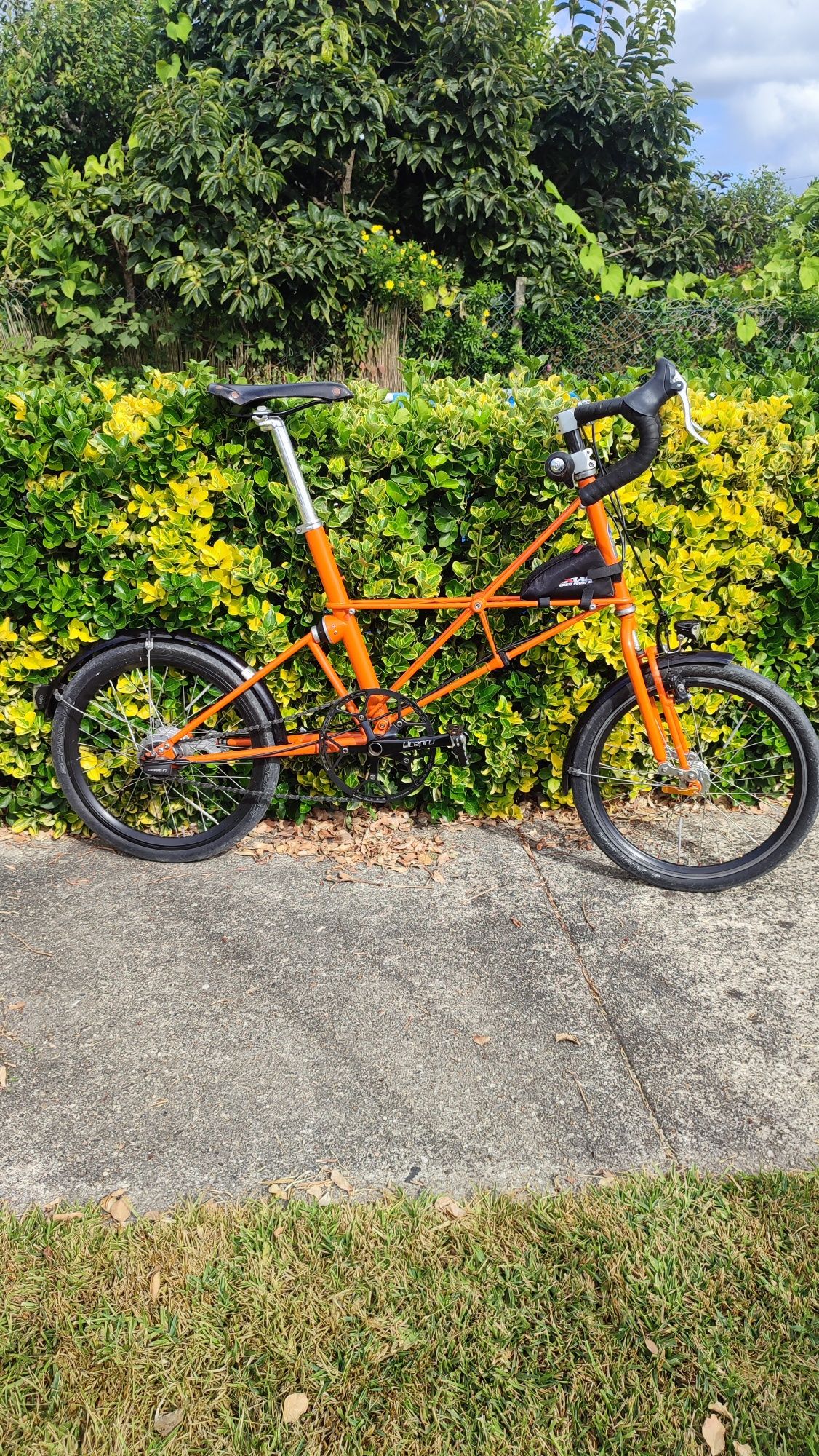 Moulton TSR 5 spaceframe